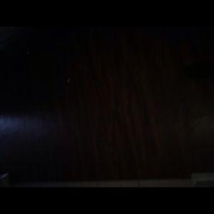 Meet your Posher, Teundra